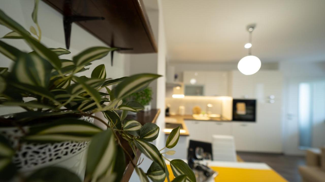 Gogo Apartment Delnice Exterior photo